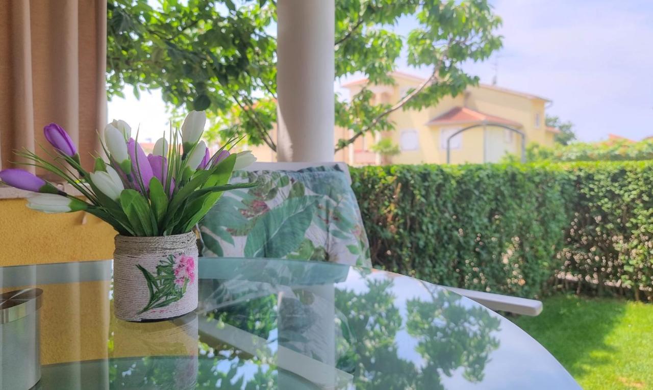 Roko Apartment Novigrad  Luaran gambar